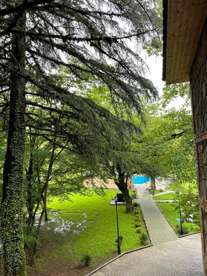 Wald Hotel Lagodehi Exterior foto