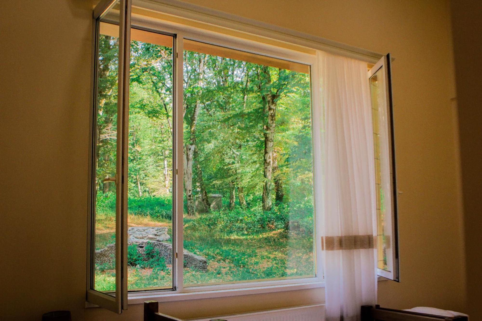 Wald Hotel Lagodehi Cameră foto